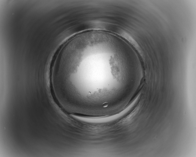 X0000088740939200705311445