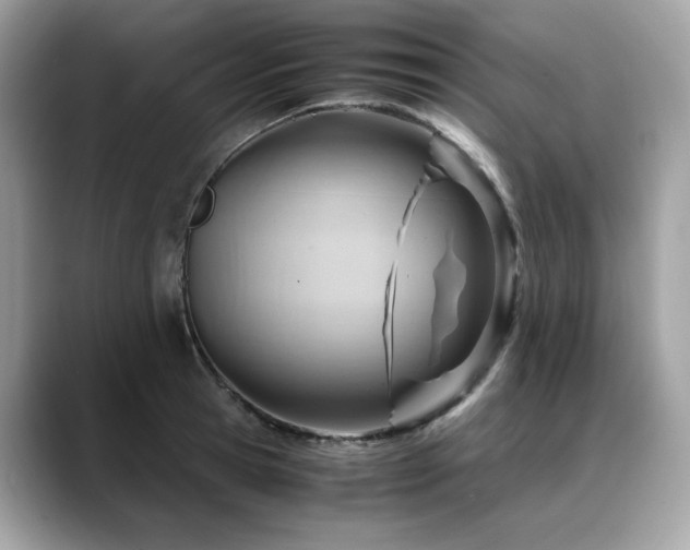 X0000088740945200705311445