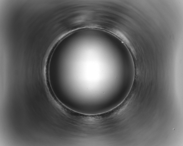 X0000088740947200705311445