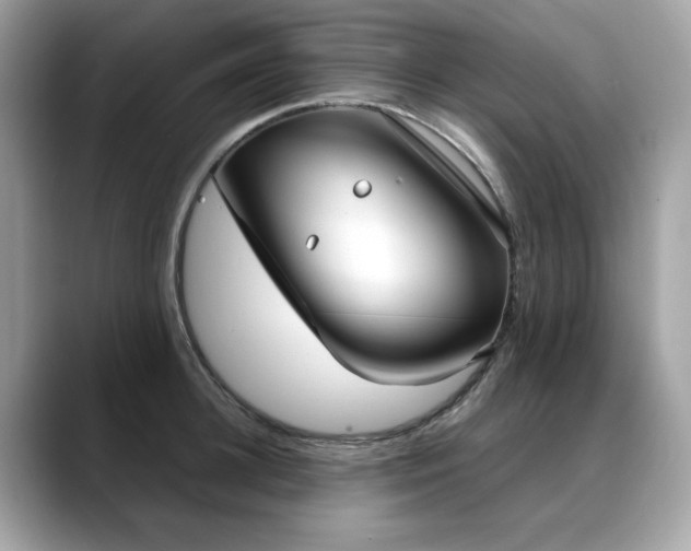X0000088740948200705311445