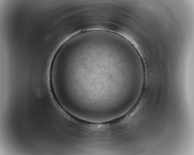X0000088740949200705311445