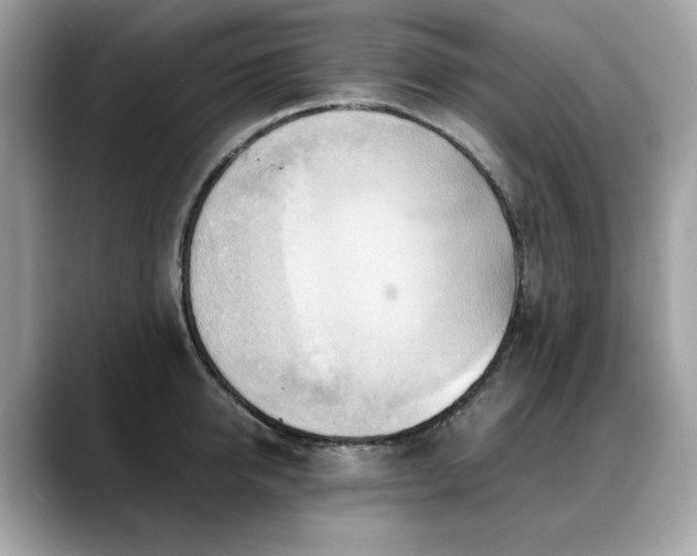 X0000088740950200705311445