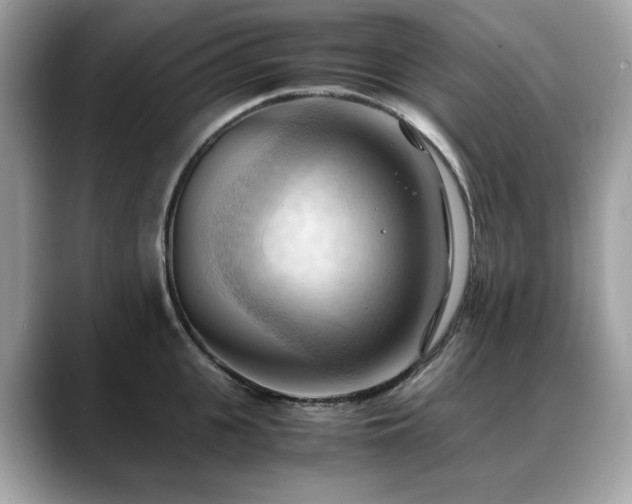 X0000088740951200705311445