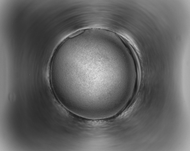 X0000088740952200705311445