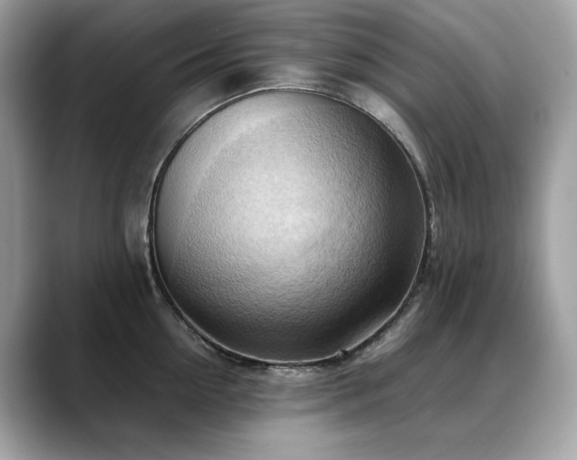 X0000088740954200705311445