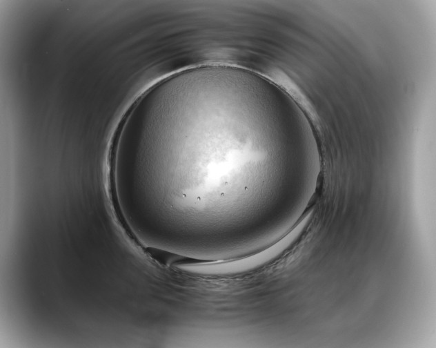 X0000088740955200705311445