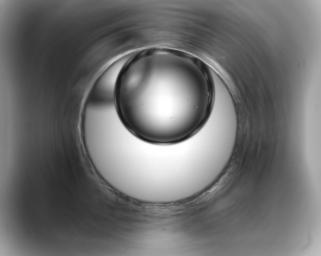 X0000088740956200705311445