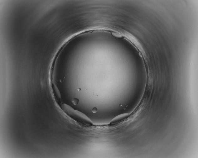 X0000088740958200705311445