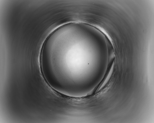 X0000088740959200705311445