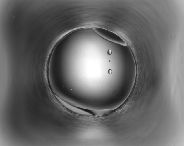 X0000088740960200705311445
