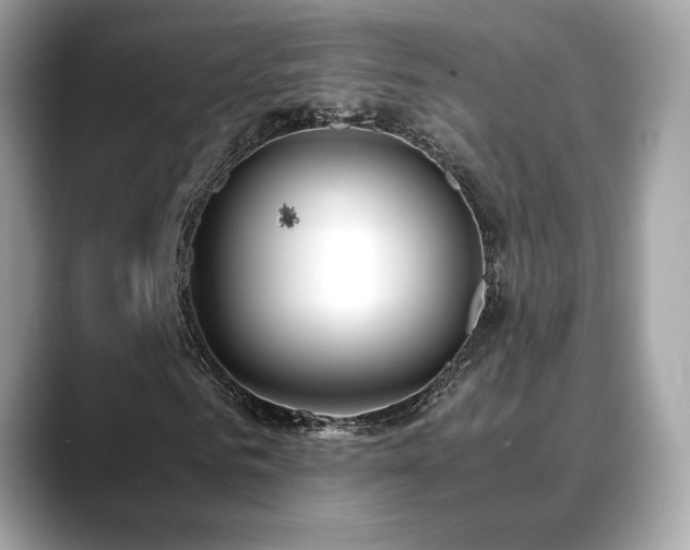 X0000088740961200705311444