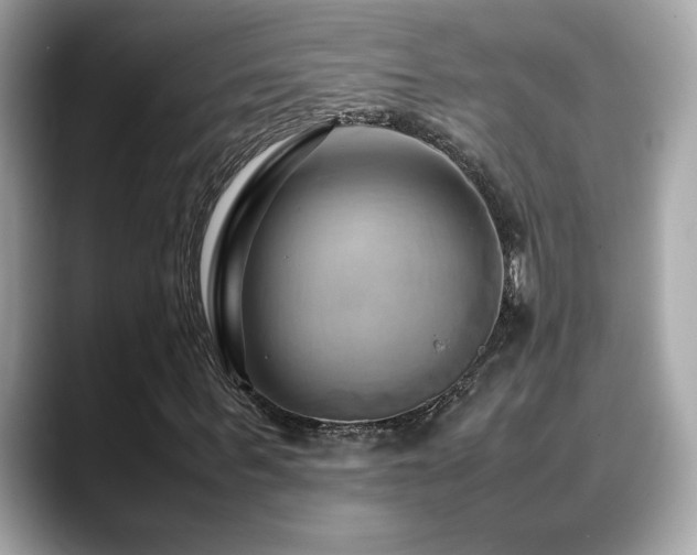 X0000088740963200705311444