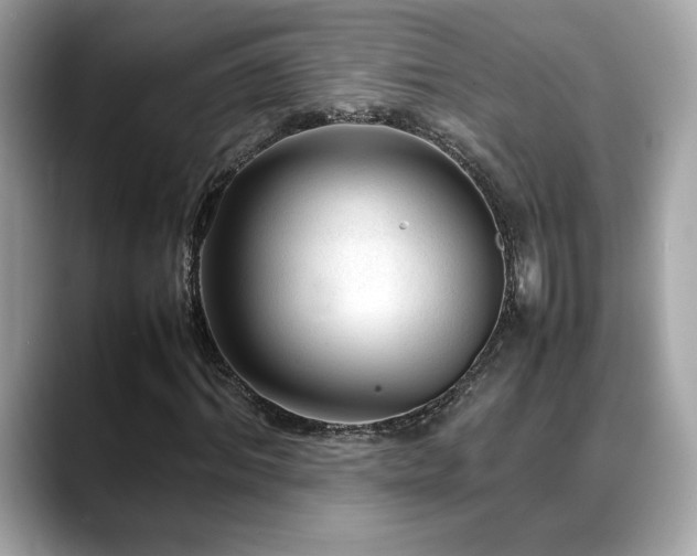 X0000088740964200705311444