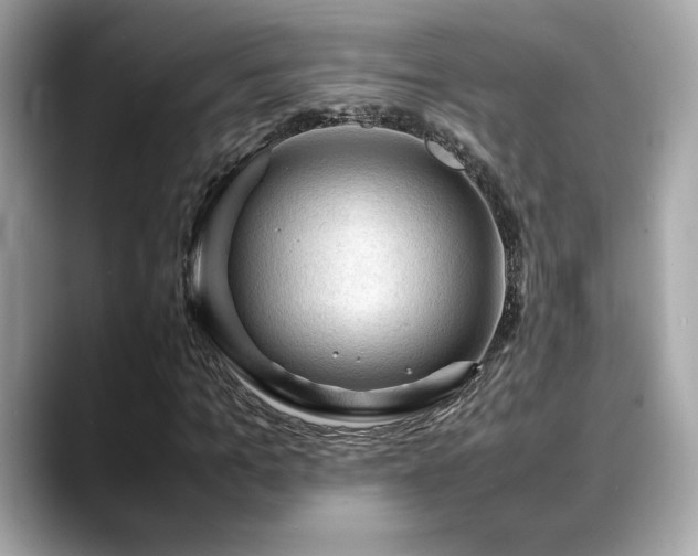X0000088740965200705311444