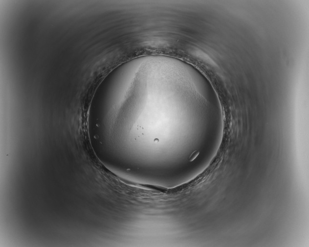 X0000088740966200705311444
