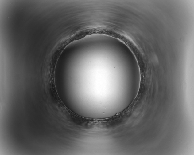 X0000088740967200705311444