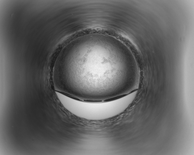 X0000088740968200705311444