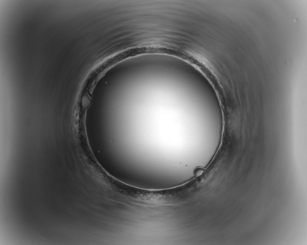 X0000088740971200705311444