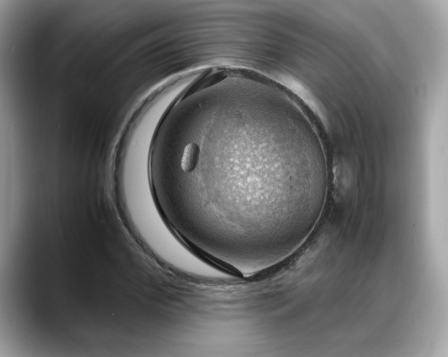 X0000088740972200705311444