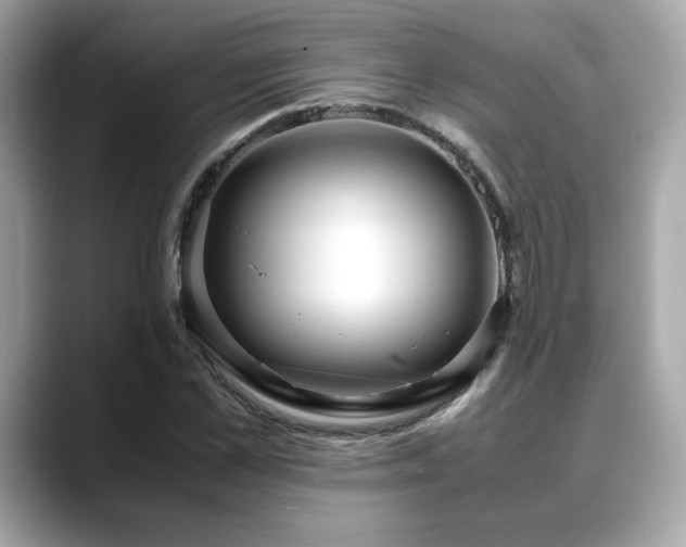X0000088740973200705311444