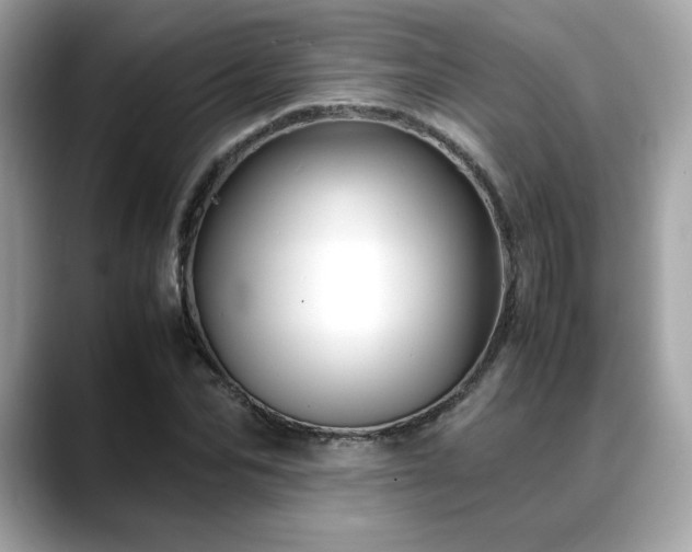 X0000088740974200705311444