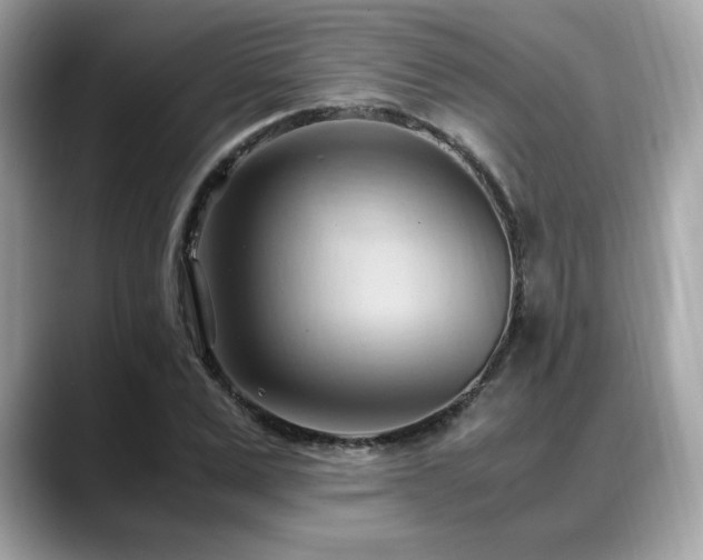 X0000088740975200705311444