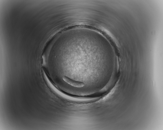 X0000088740977200705311444