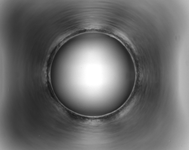 X0000088740978200705311444