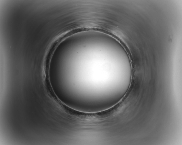 X0000088740979200705311444