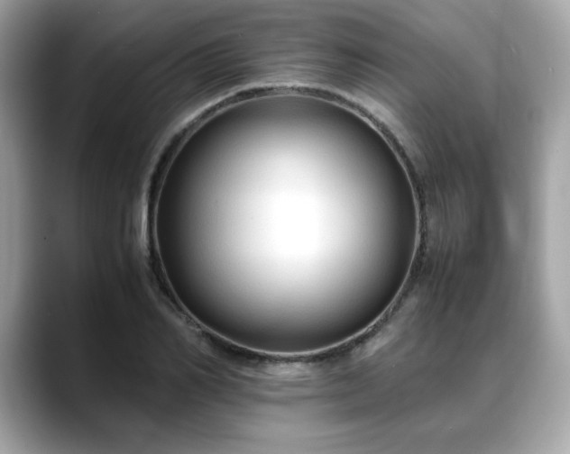 X0000088740982200705311444