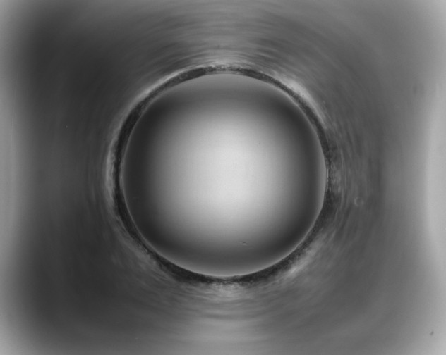 X0000088740983200705311444