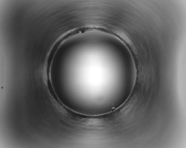 X0000088740984200705311444