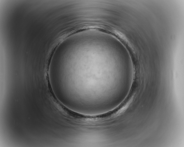 X0000088740985200705311444