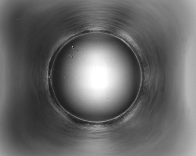 X0000088740986200705311444