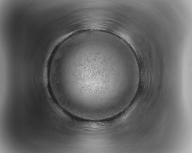 X0000088740987200705311444