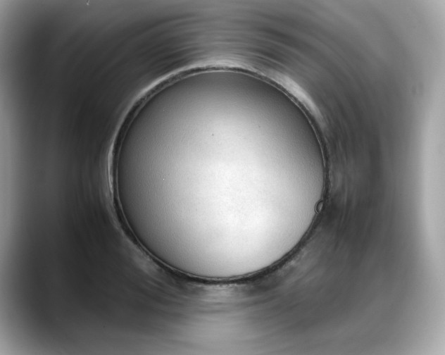 X0000088740988200705311444