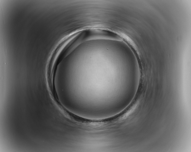 X0000088740989200705311444