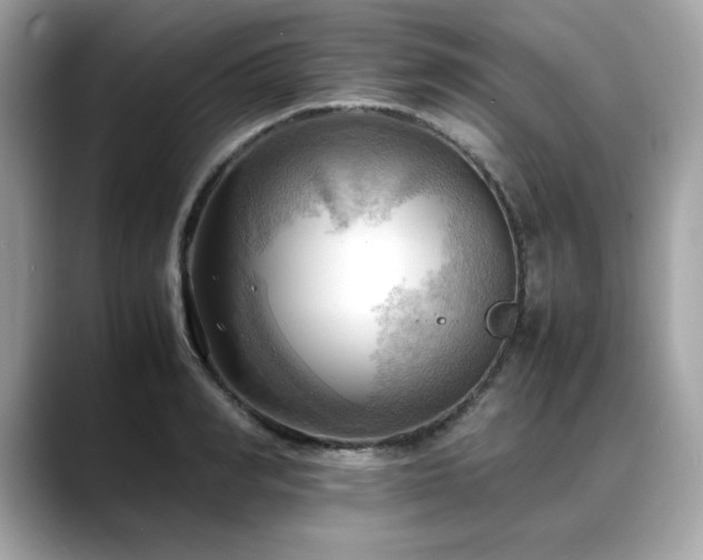X0000088740990200705311444