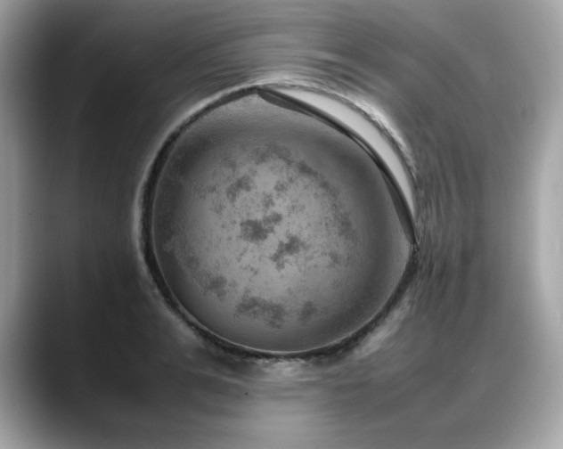X0000088740991200705311444