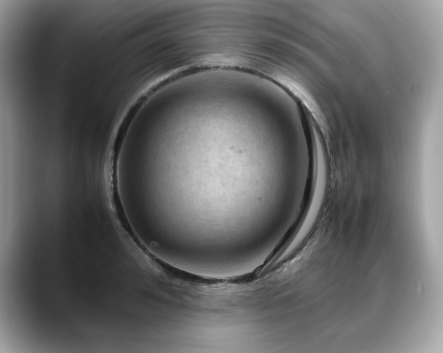 X0000088740992200705311444