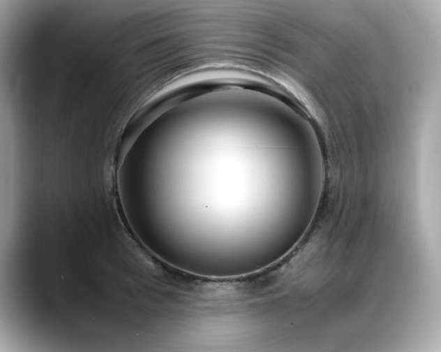 X0000088740993200705311444