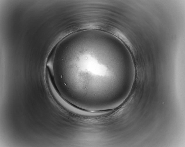 X0000088740994200705311444