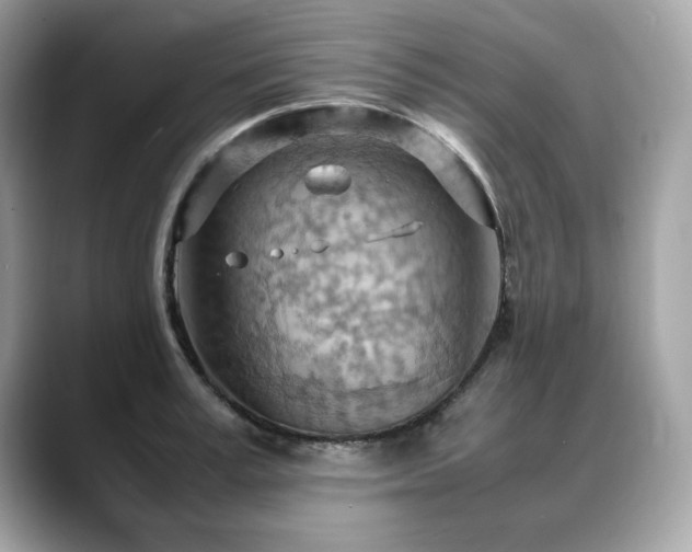 X0000088740995200705311444