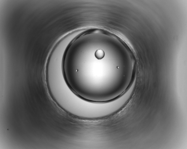 X0000088740996200705311444