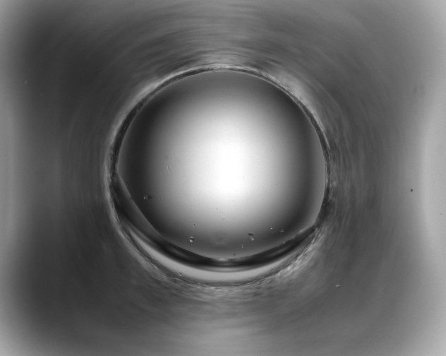 X0000088740997200705311444