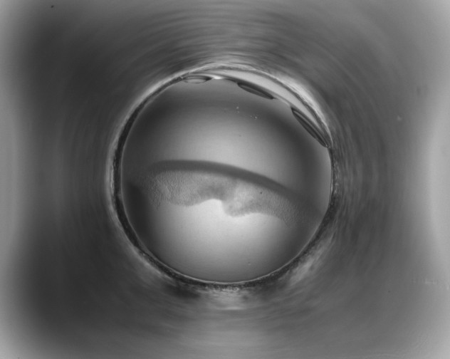 X0000088740999200705311444