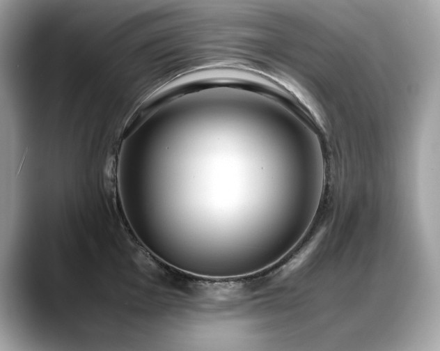 X0000088741001200705311444