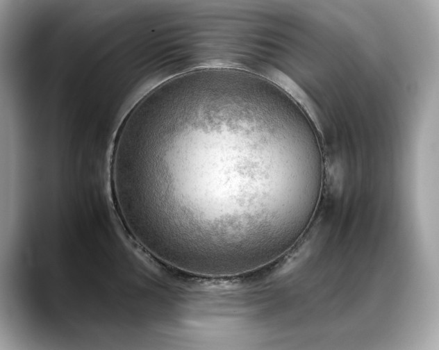 X0000088741002200705311444