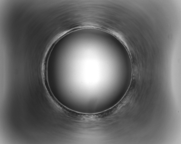 X0000088741003200705311444