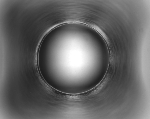 X0000088741004200705311444